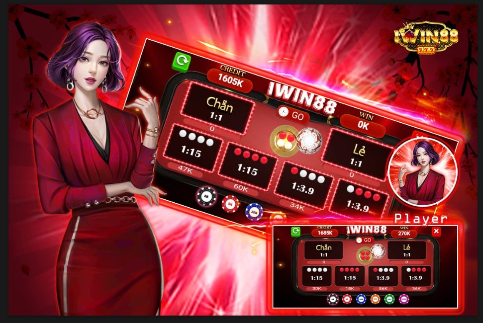 cwin288