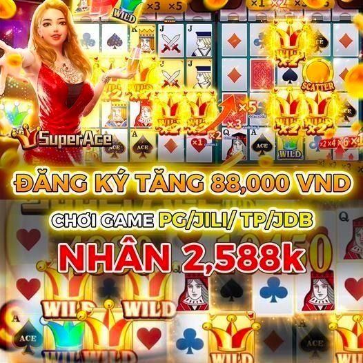 cwin288
